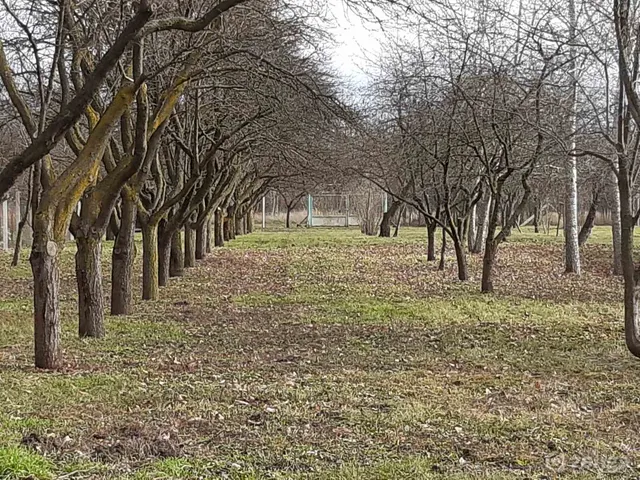Eladó telek Gyula, Törökzug 20000 nm