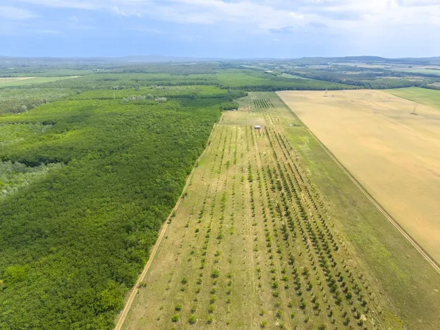 Eladó mezőgazdasági ingatlan Sződ 100000 nm