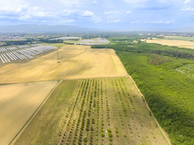 Eladó mezőgazdasági ingatlan Sződ 100000 nm