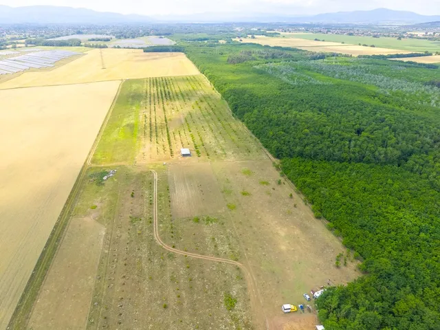 Eladó mezőgazdasági ingatlan Sződ 100000 nm