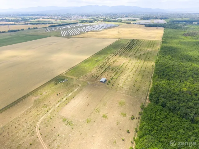 Eladó mezőgazdasági ingatlan Sződ 50000 nm