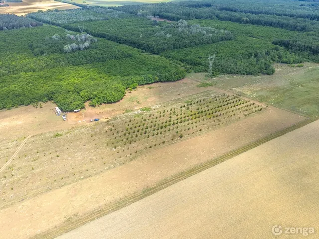 Eladó mezőgazdasági ingatlan Sződ 50000 nm
