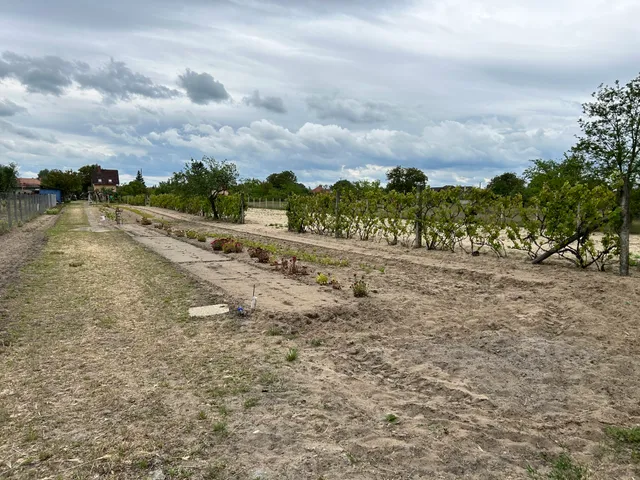 Eladó telek Csévharaszt 2672 nm