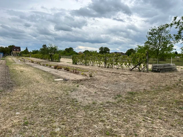 Eladó telek Csévharaszt 2672 nm