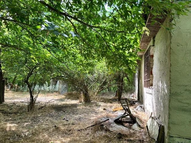 Eladó mezőgazdasági ingatlan Lajosmizse 60 nm