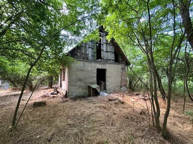 Eladó mezőgazdasági ingatlan Lajosmizse 60 nm