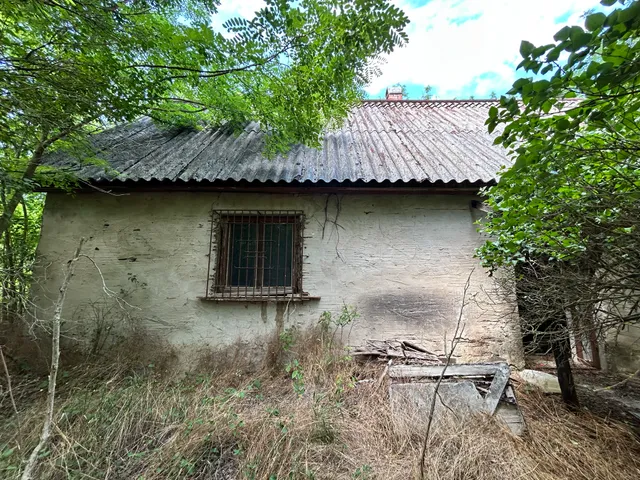 Eladó mezőgazdasági ingatlan Lajosmizse 60 nm