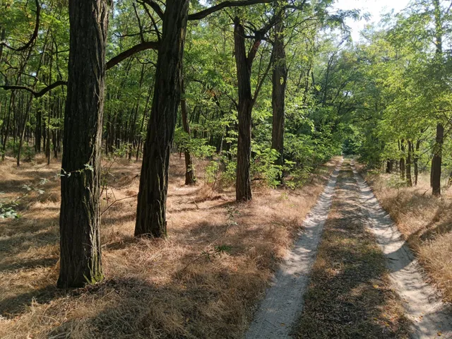 Eladó mezőgazdasági ingatlan Lajosmizse 60 nm
