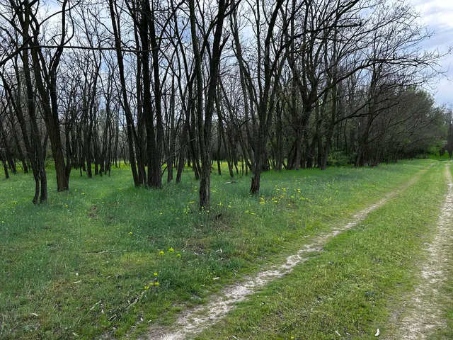 Eladó mezőgazdasági ingatlan Lajosmizse 10 nm