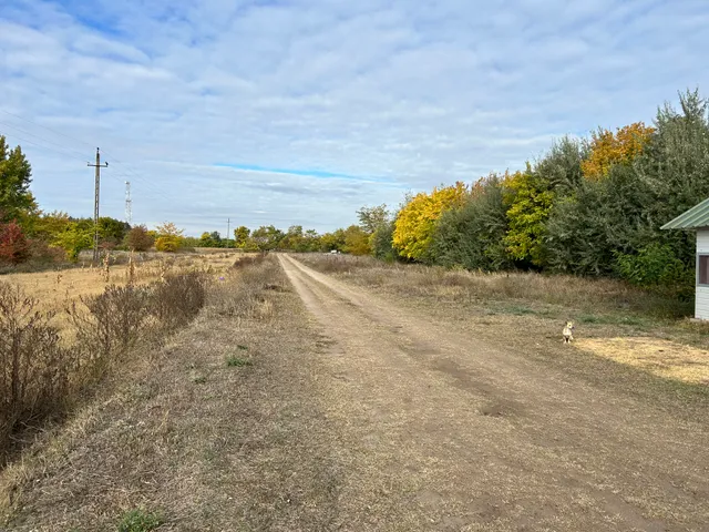 Eladó mezőgazdasági ingatlan Táborfalva 60 nm