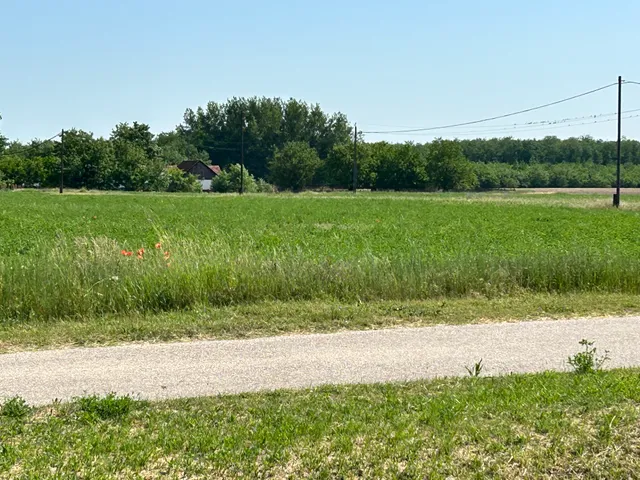 Eladó mezőgazdasági ingatlan Lajosmizse 80 nm