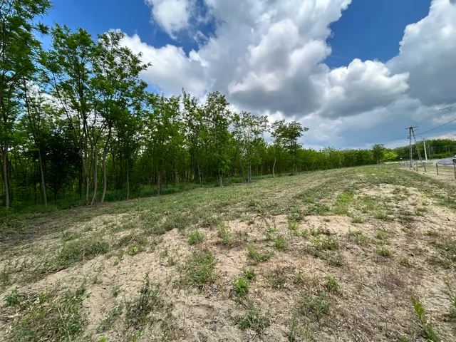 Eladó telek Dabas 1192 nm