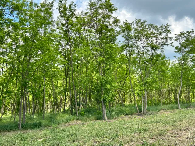 Eladó telek Dabas 762 nm