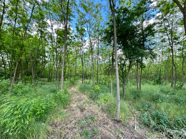 Eladó telek Dabas 762 nm