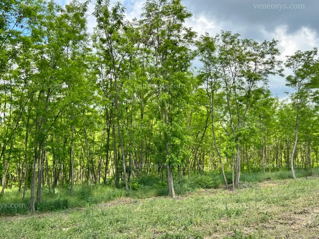 Eladó telek Dabas 851 nm