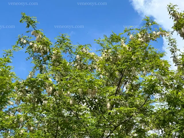 Eladó telek Dabas 851 nm