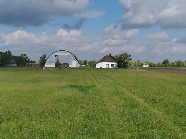 Eladó mezőgazdasági ingatlan Békéscsaba 65 nm
