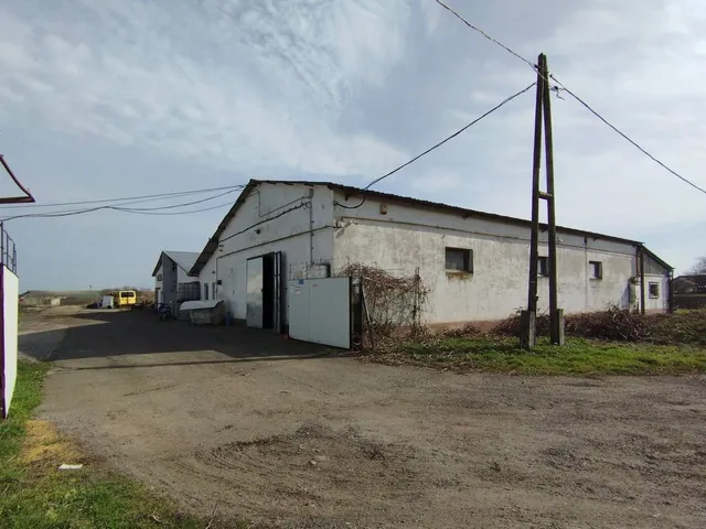 Eladó kereskedelmi és ipari ingatlan Szabadkígyós 2061 nm