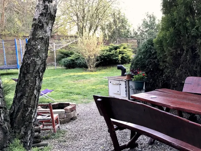 Eladó mezőgazdasági ingatlan Békéscsaba 300 nm