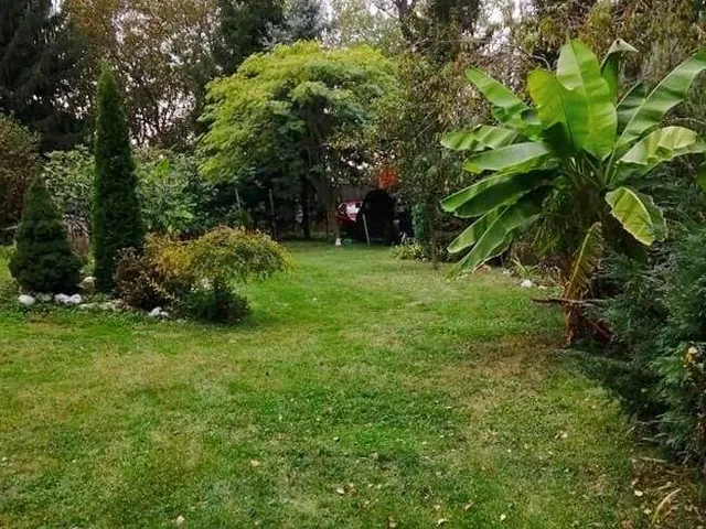 Eladó mezőgazdasági ingatlan Békéscsaba 300 nm