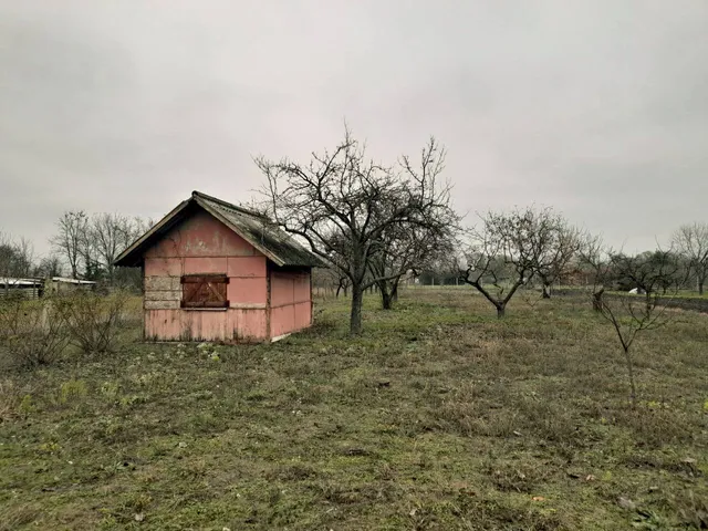 Eladó mezőgazdasági ingatlan Békéscsaba 1511 nm