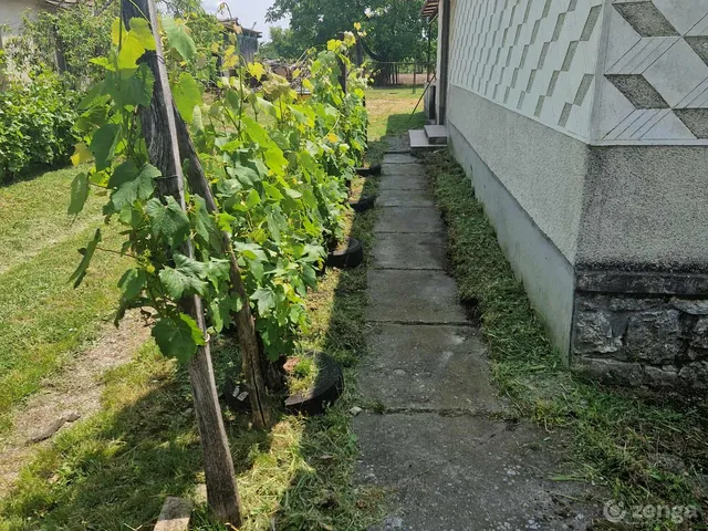 Eladó ház Nemesgörzsöny, Petőfi utca 100 nm