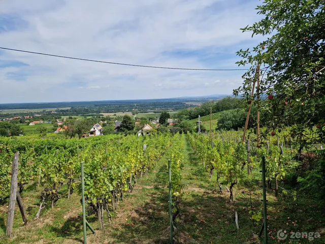 Eladó mezőgazdasági ingatlan Doba 18 nm