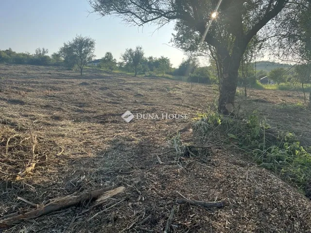 Eladó telek Tinnye 2006 nm