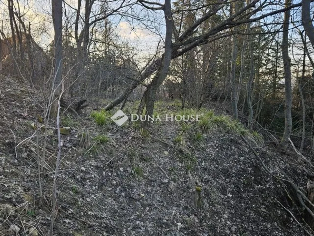 Eladó telek Biatorbágy 1367 nm