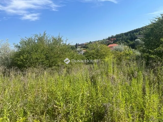Eladó telek Tinnye 1185 nm