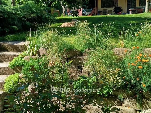 Eladó ház Belvárdgyula 164 nm