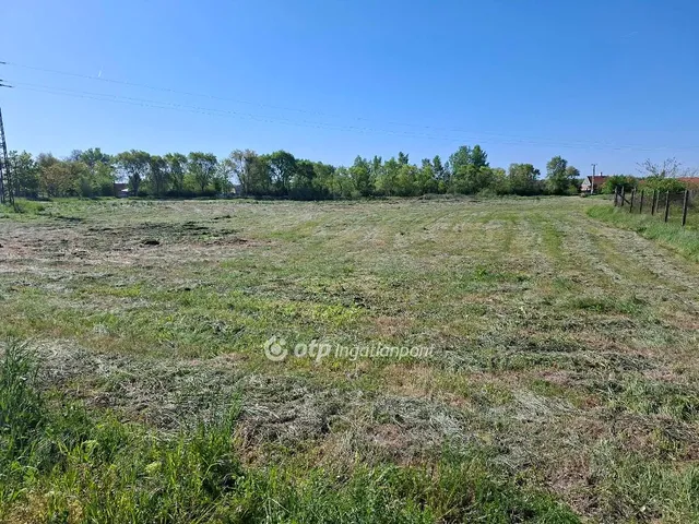 Eladó telek Dunaszeg 15161 nm