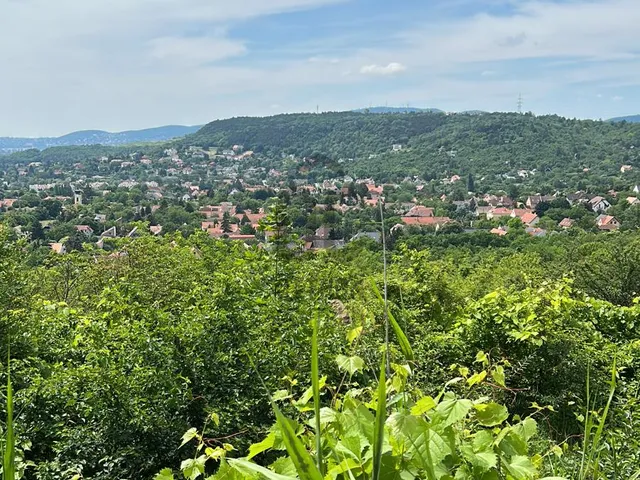 Eladó telek Budapest III. kerület 860 nm