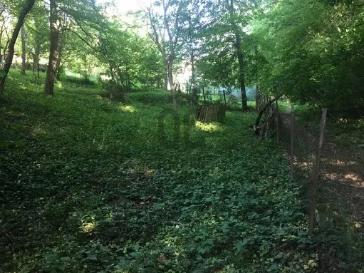 Eladó telek Budakeszi 1601 nm