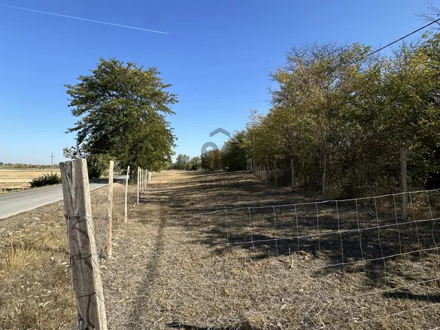 Eladó telek Ráckeve 27000 nm