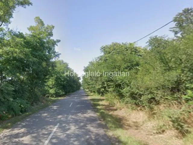Eladó telek Nyíregyháza, Butyka 5462 nm