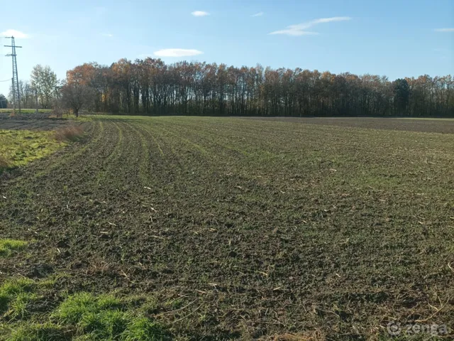 Eladó telek Kalocsa 8572 nm