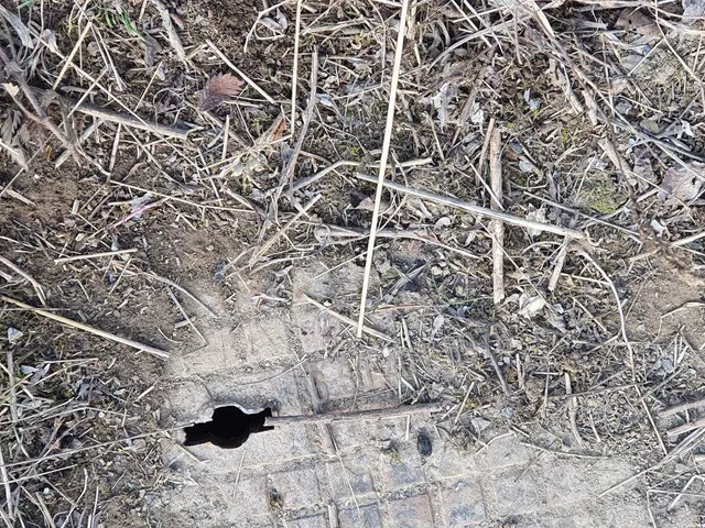 Eladó telek Csabdi, Új utca 34500 nm