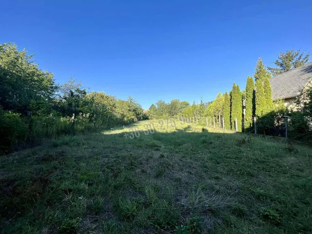 Eladó telek Páty, Mézeshegyi utca 877 nm