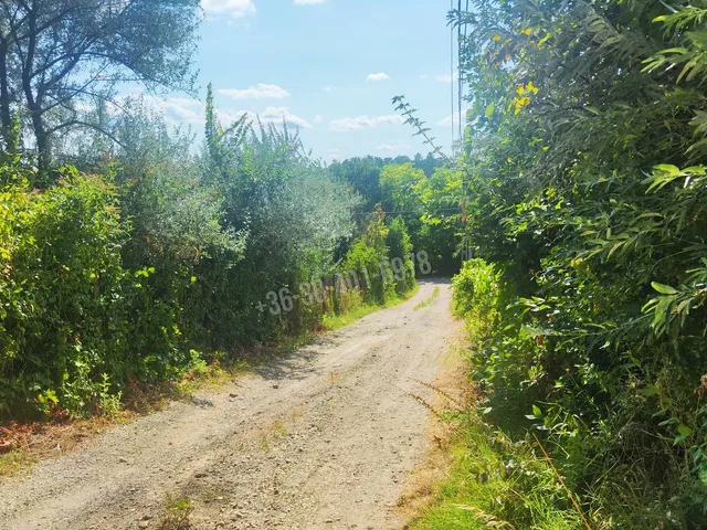 Eladó telek Páty 822 nm