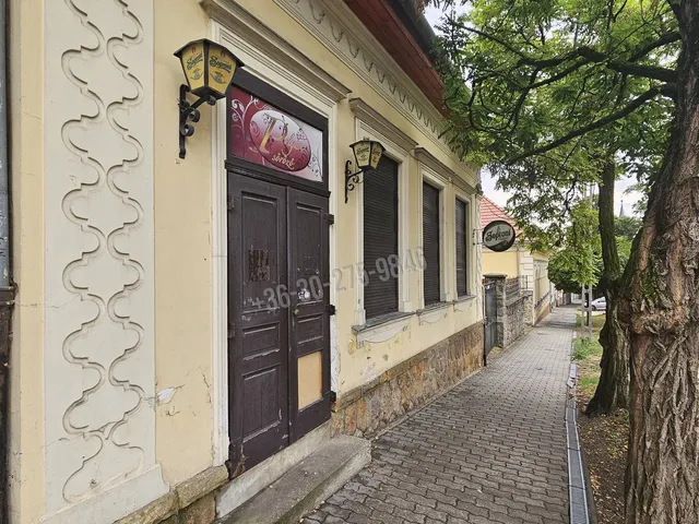 Eladó ház Budakeszi, Szilvamag, Fő utca 170 nm