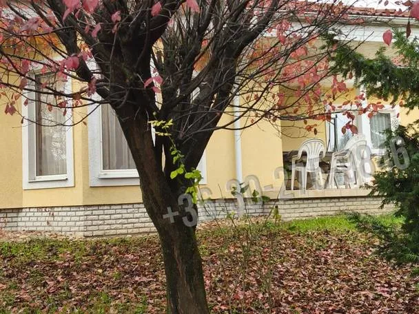 Eladó ház Tök 287 nm