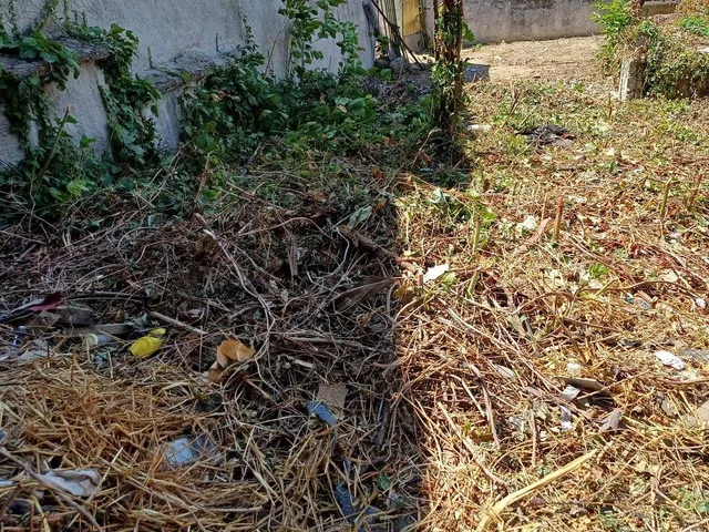 Eladó telek Páty 286 nm