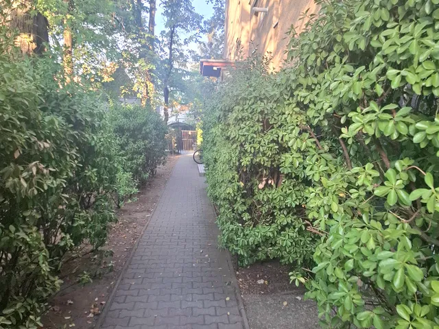 Eladó lakás Debrecen, Sestakert 55 nm