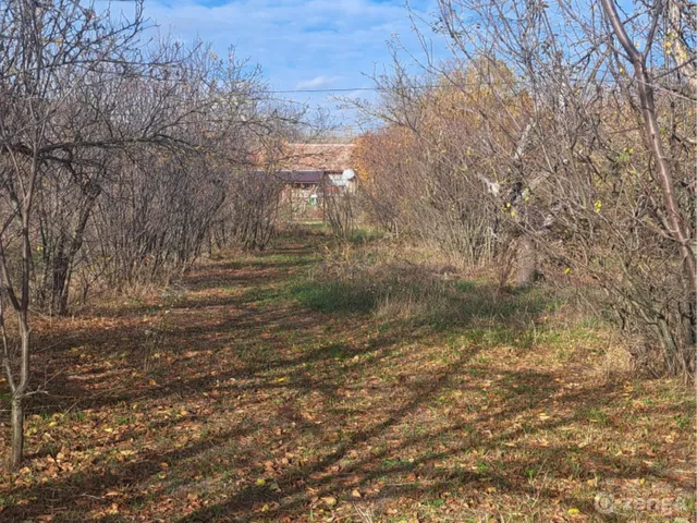 Eladó telek Dánszentmiklós 1986 nm