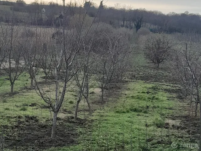 Eladó telek Látrány, Rákóczi 6118 nm