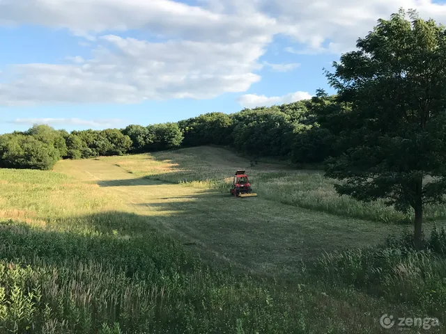 Eladó mezőgazdasági ingatlan Miszla 25000 nm
