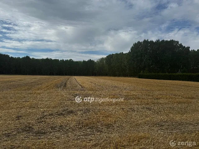 Eladó mezőgazdasági ingatlan Ceglédbercel 3267 nm