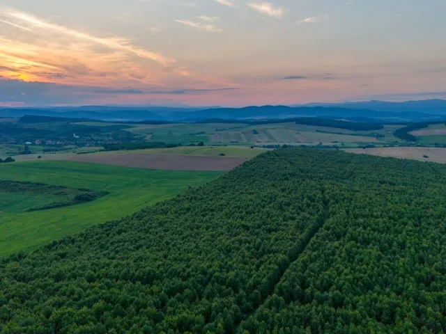 Eladó mezőgazdasági ingatlan Abod 72000 nm