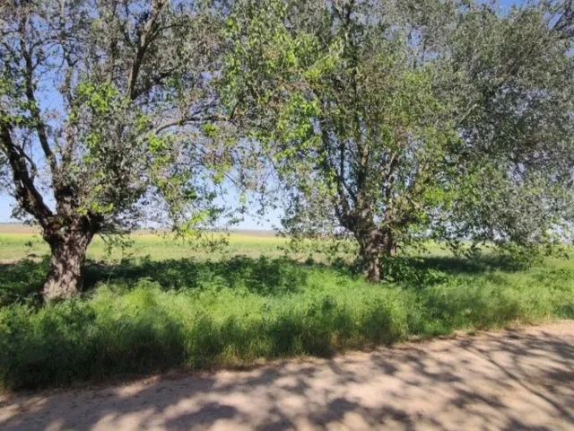 Eladó telek Sajóvámos 1169 nm